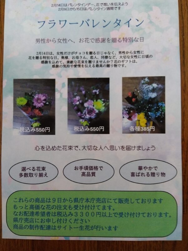 この記事の画像